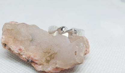 bague rustique morceau de la lune en argent sterling (ruban moebius)